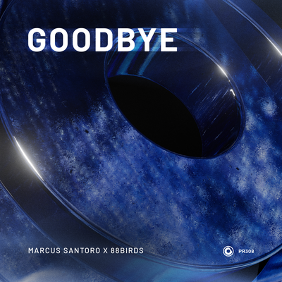 Goodbye By Marcus Santoro, 88Birds's cover