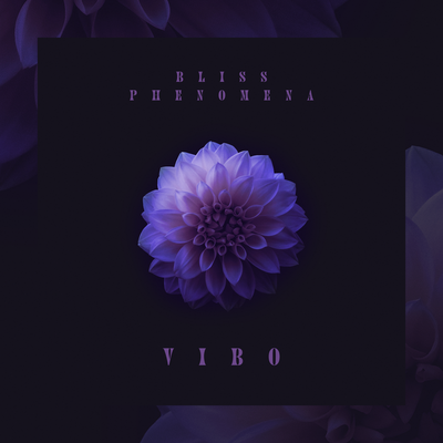 Vibo's cover