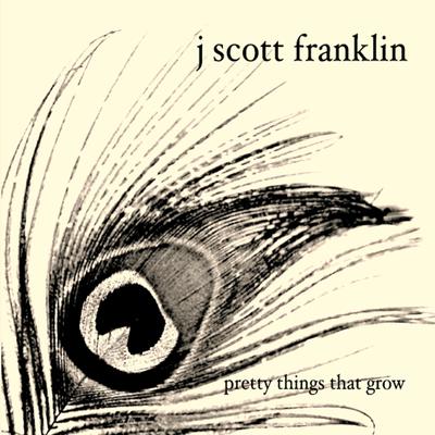 J Scott Franklin's cover