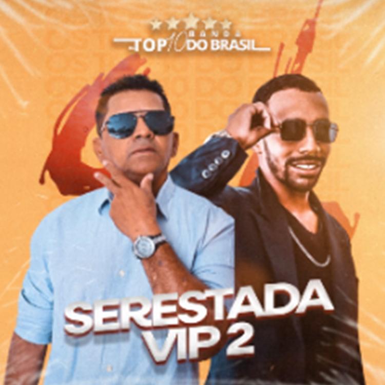 Banda Os Top 10 do Brasil's avatar image