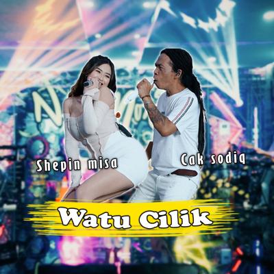 Watu Cilik's cover