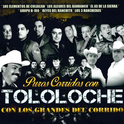 Adolfo Beltran (Con Tololoche)'s cover