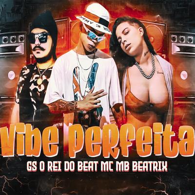 Vibe Perfeita's cover
