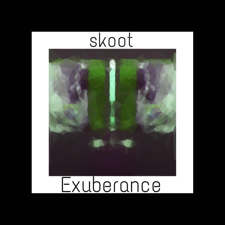 Skoot's avatar image