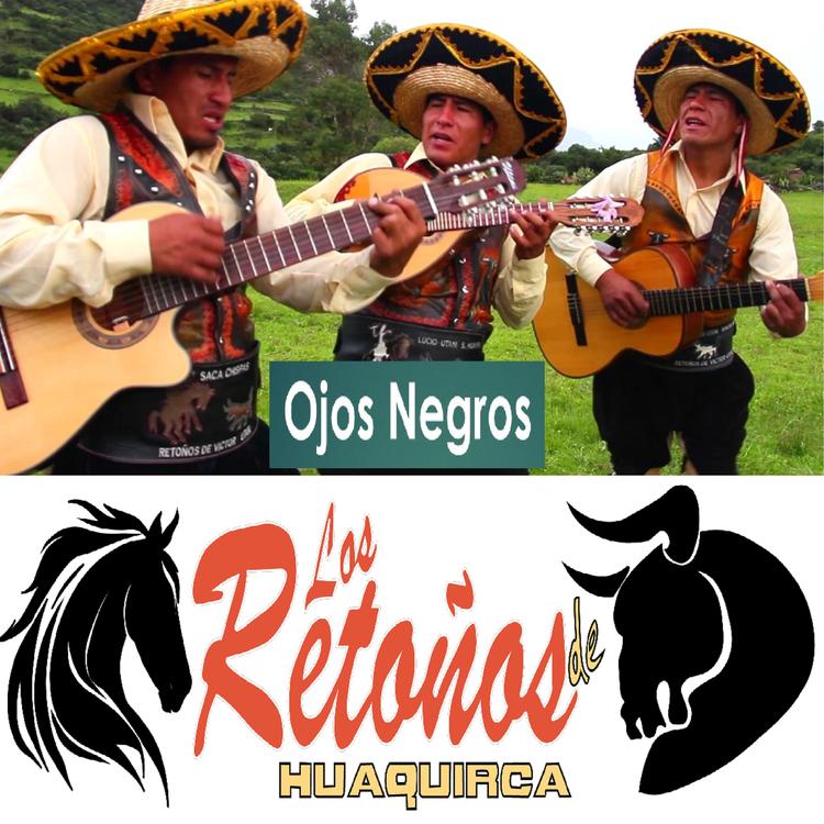 Los Retoños de Huaquirca's avatar image