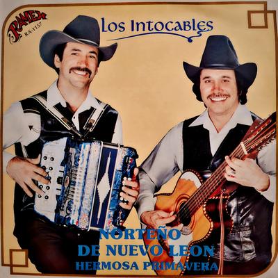 Norteño De Nuevo León's cover