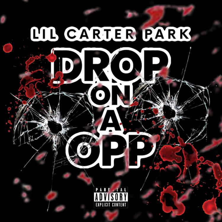 Lil Carter Park's avatar image