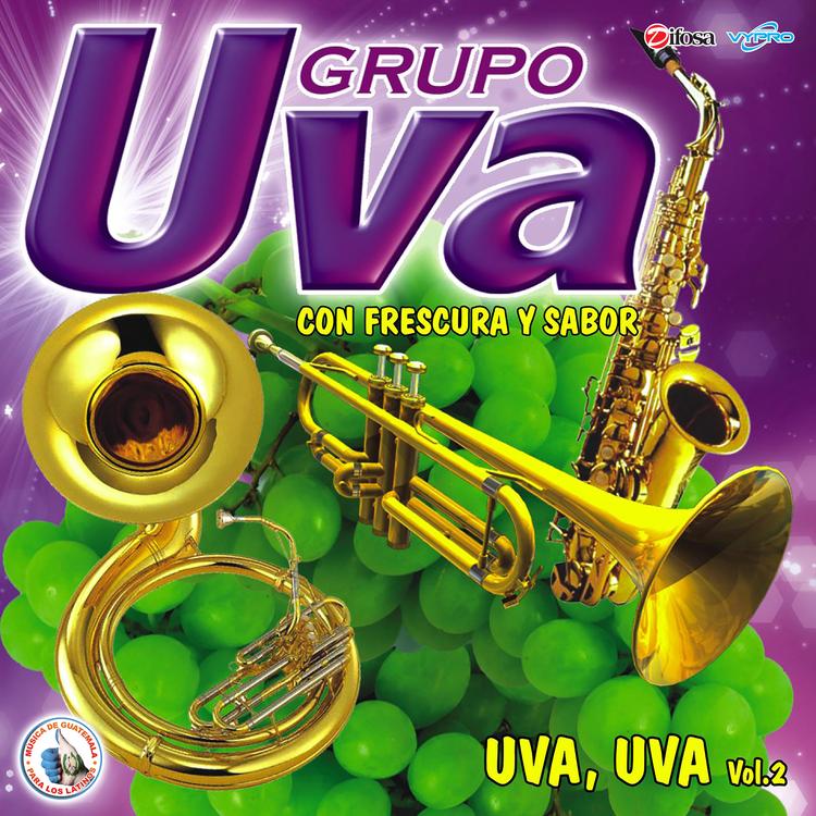 Grupo Uva's avatar image