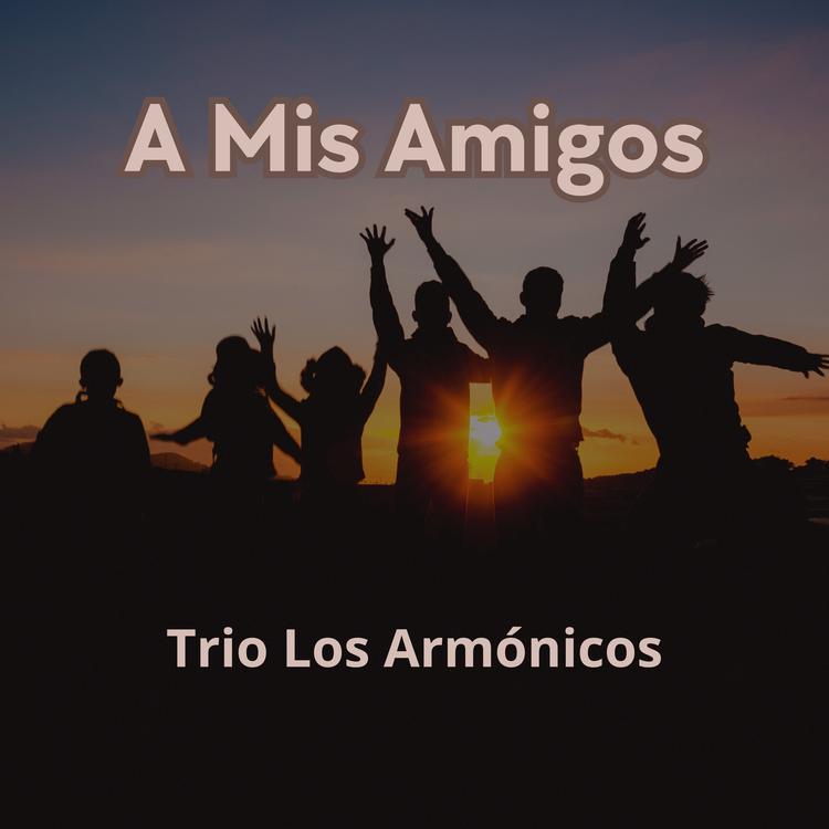 Trio Los Armonicos's avatar image