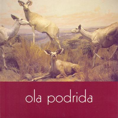 Run Off The Road By Ola Podrida's cover