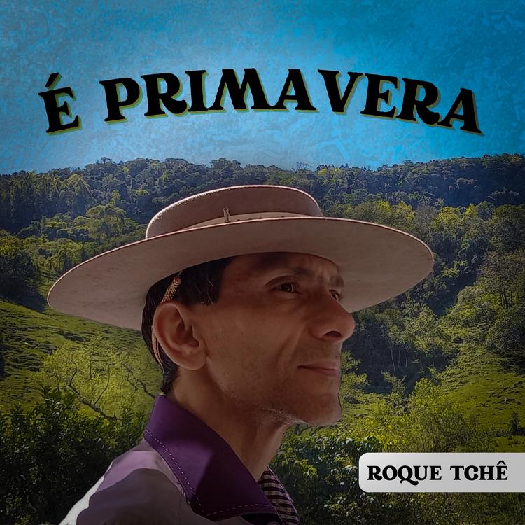 Roque Tchê's avatar image