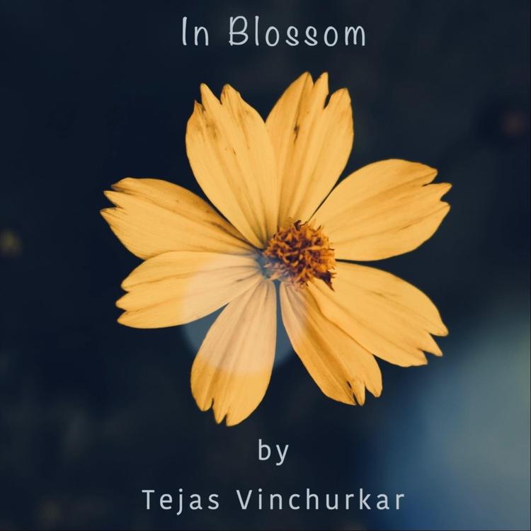 Tejas Vinchurkar's avatar image