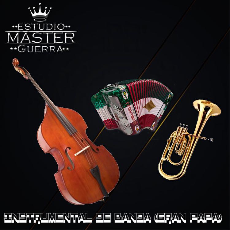 Banda Instrumental's avatar image