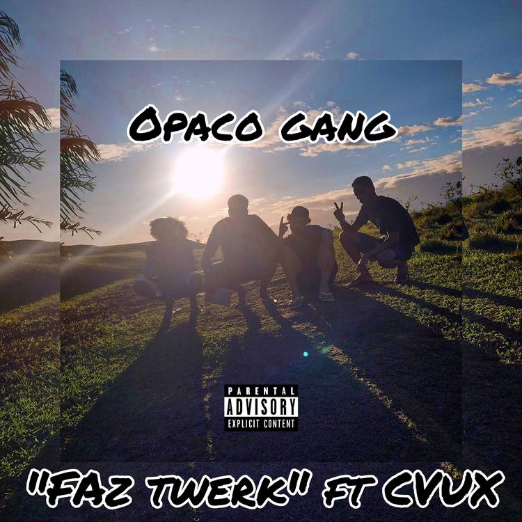 Opaco Gang's avatar image