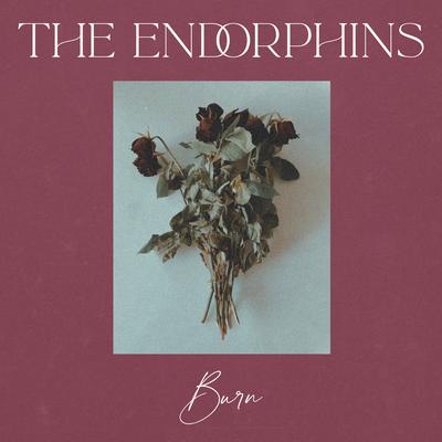Burn By The Endorphins's cover