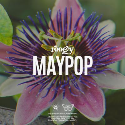 Maypop By Rooey's cover