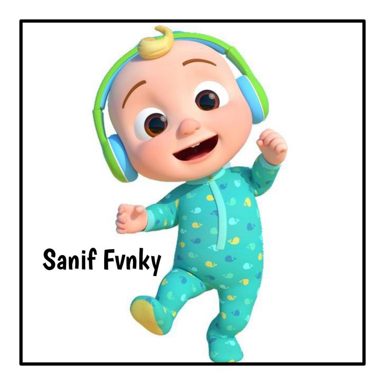 Sanif Fvnky's avatar image