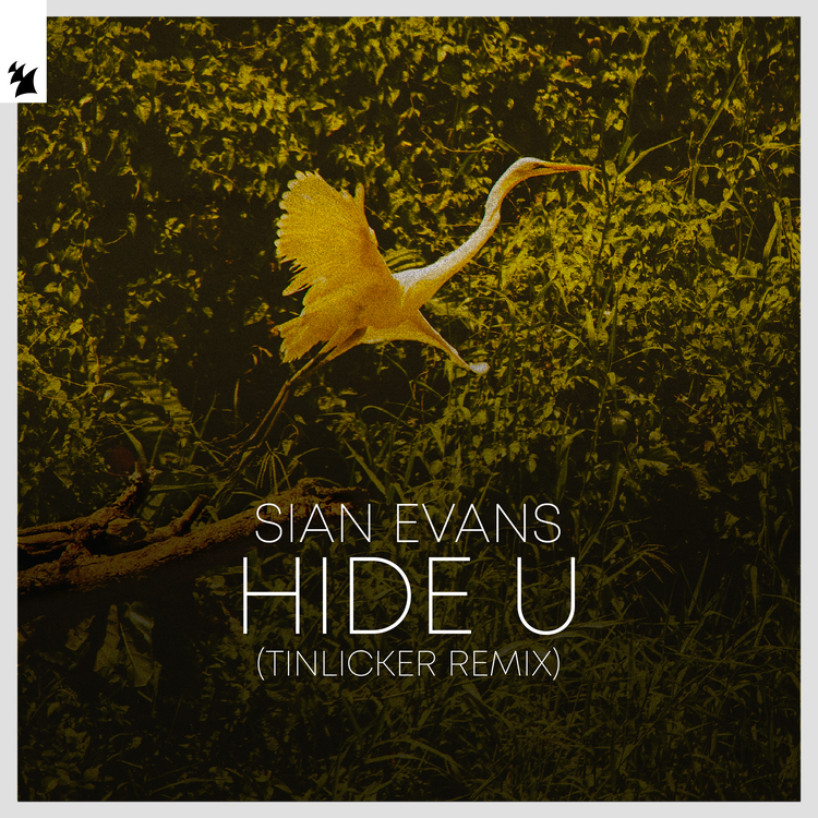 Sian Evans's avatar image