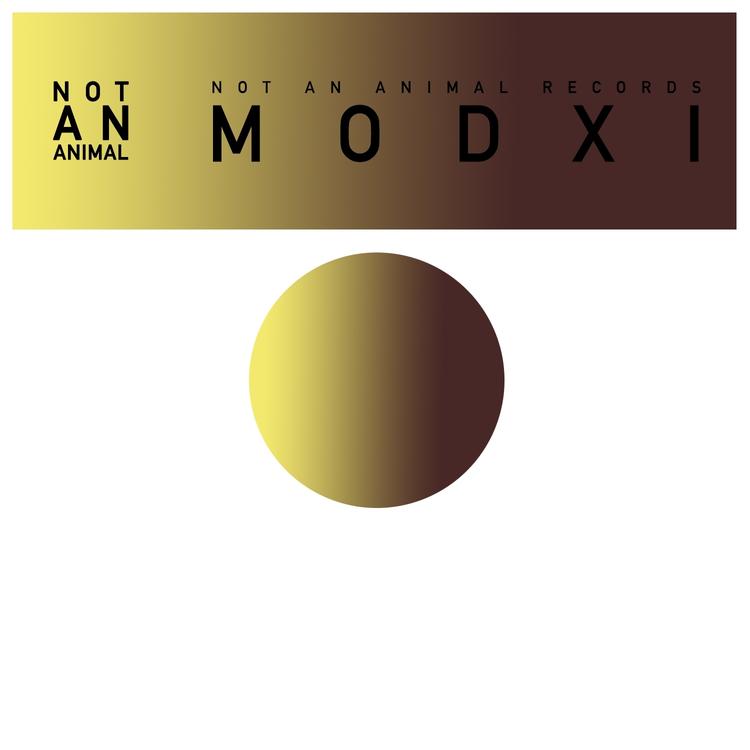 MODXI's avatar image