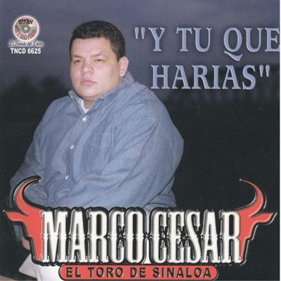 Marco Cesar el Toro de Sinaloa's cover