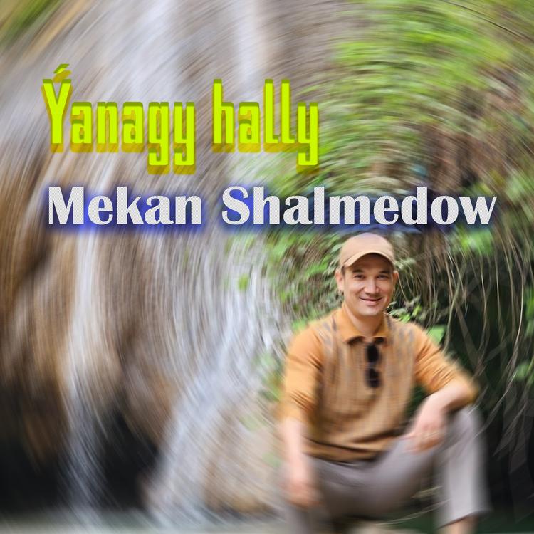 Mekan Shalmedow's avatar image