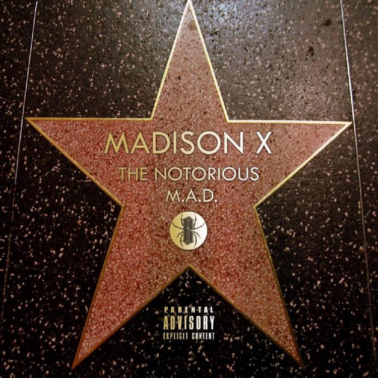Madison X's avatar image