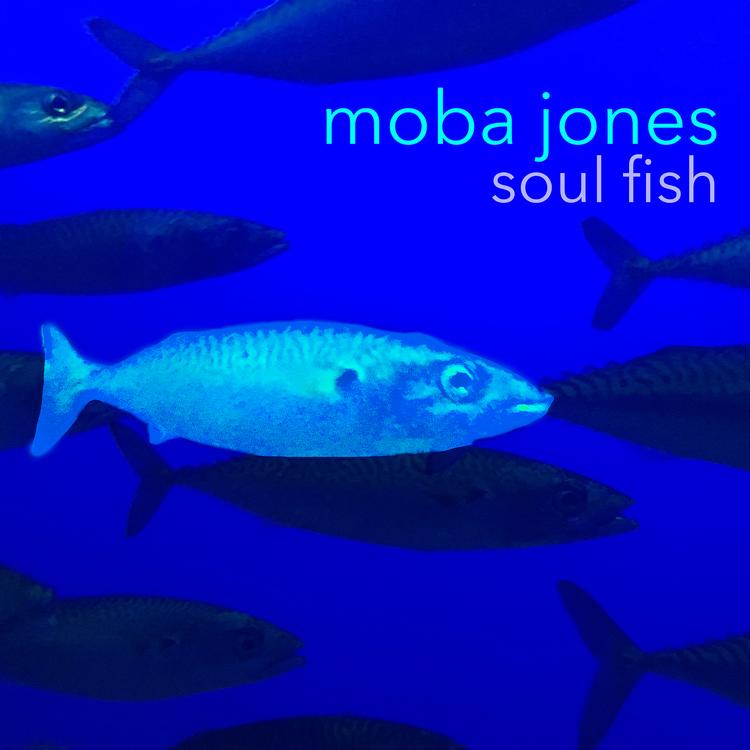 Moba Jones's avatar image