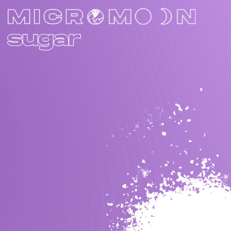 Micromoon's avatar image