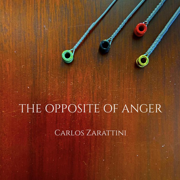 Carlos Zarattini's avatar image