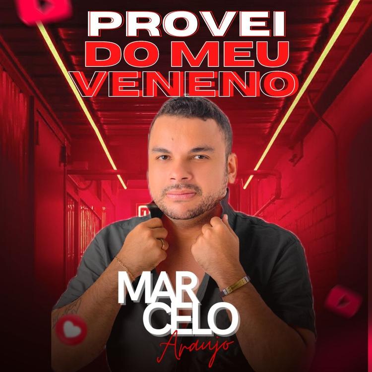 Marcelo Araujo's avatar image