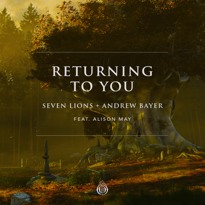 Returning To You (feat. Alison May) By Seven Lions, Andrew Bayer, Alison May's cover