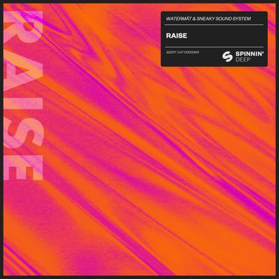 Raise By Watermät, Sneaky Sound System's cover