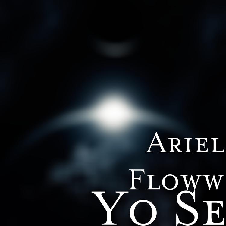 Ariel Floww's avatar image