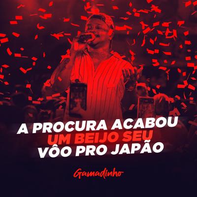 A Procura Acabou / Um Beijo Seu / Vôo pro Japão (Ao Vivo) By Gamadinho's cover