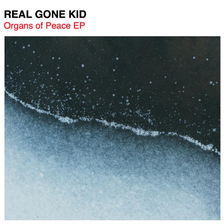 Real Gone Kid's avatar image