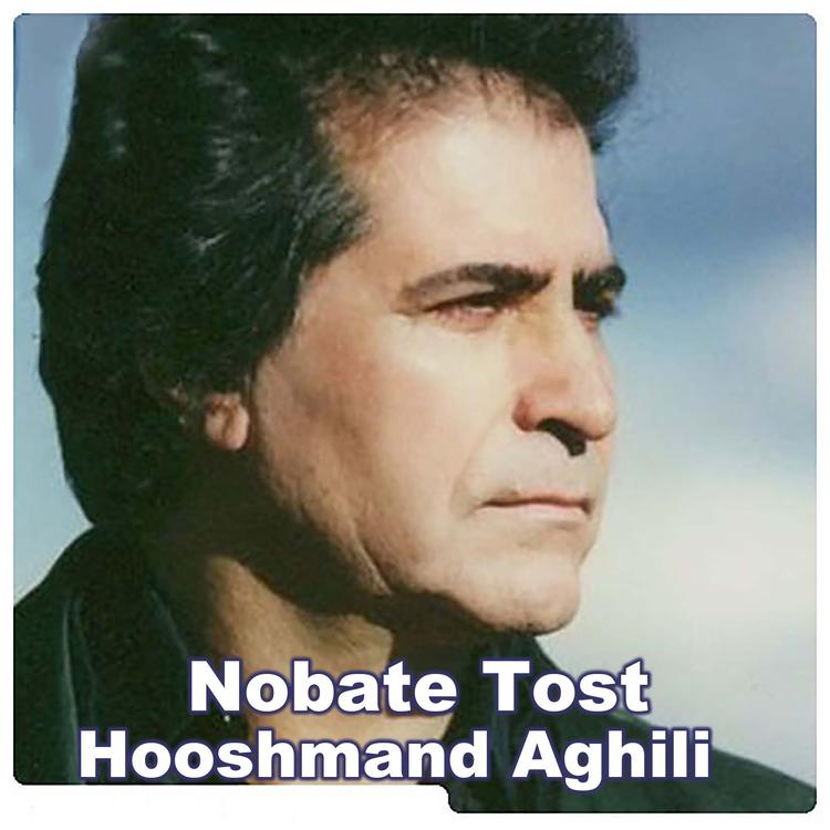 Hooshmand Aghili's avatar image