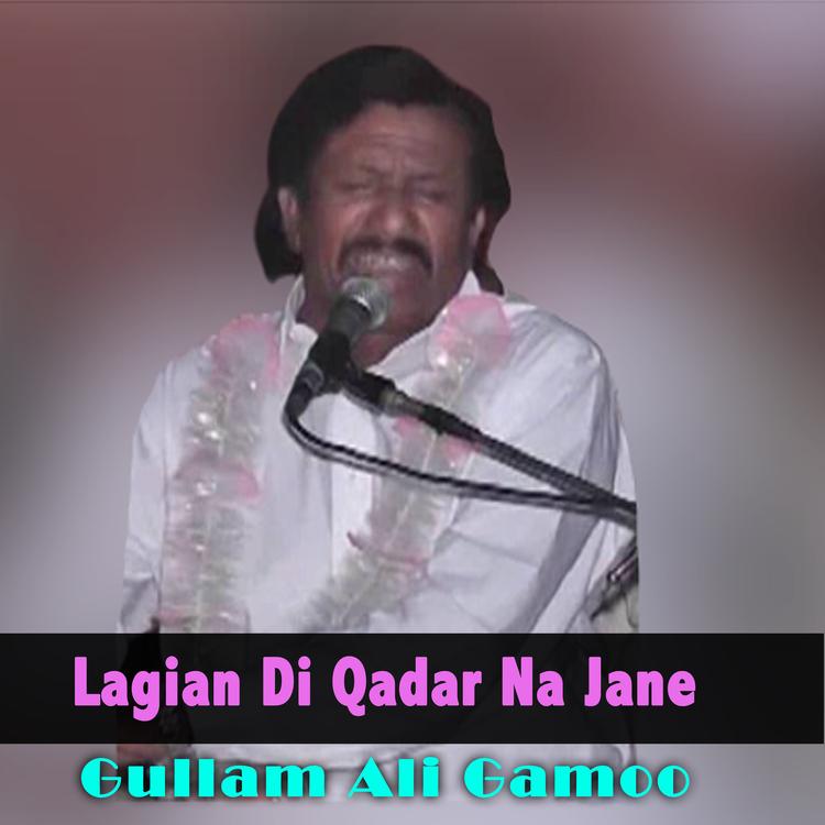 Gullam Ali Gamoo's avatar image