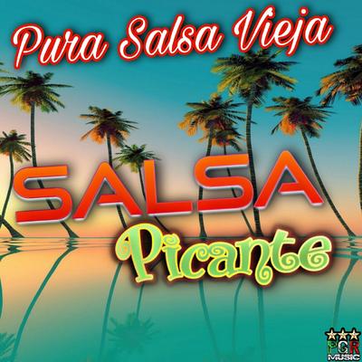 Pura Salsa Vieja's cover