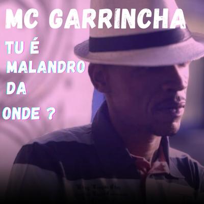 Mc Garrincha's cover