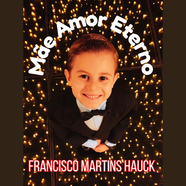 Francisco Martins Hauck's avatar image
