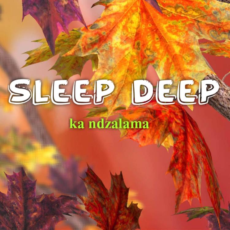 Sleep Deep's avatar image