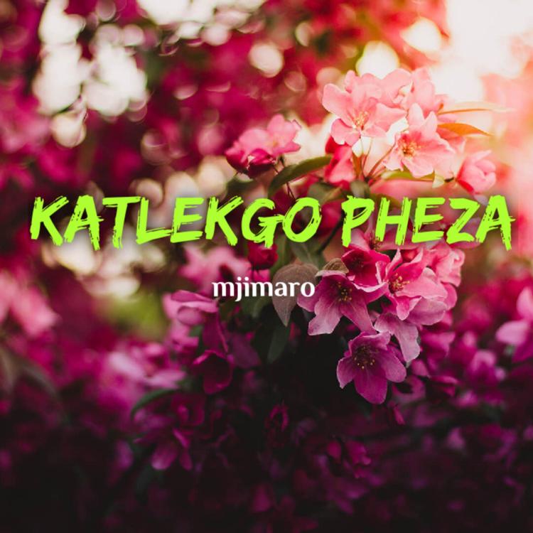 Katlekgo pheza's avatar image