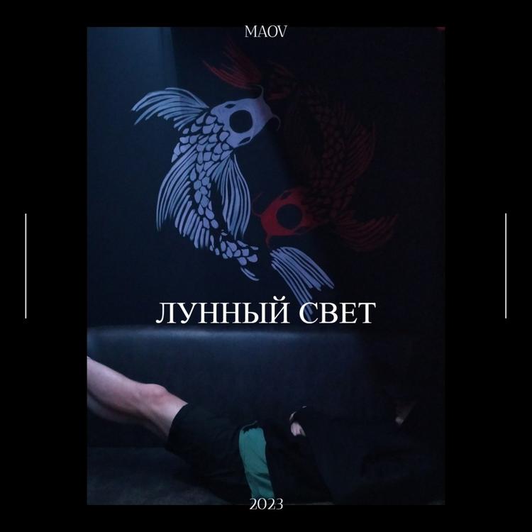 Maov's avatar image