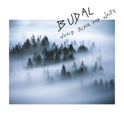 World Black and White By BUDAL's cover