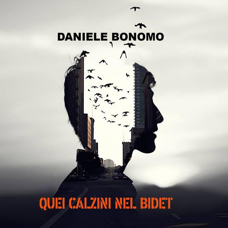 Daniele Bonomo's avatar image