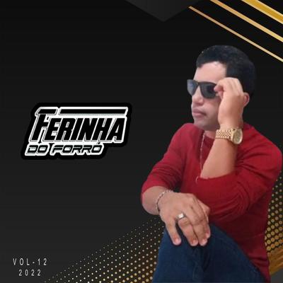Ferinha do Forró, Vol. 12's cover