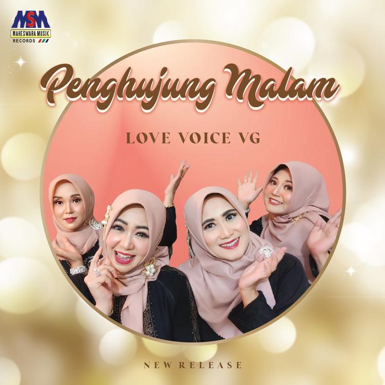 Love Voice VG's avatar image