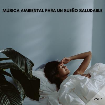 Luz De Luna Brillante By Naturaleza Sueño, Musica Para Dormir, Musica para Acostarse's cover
