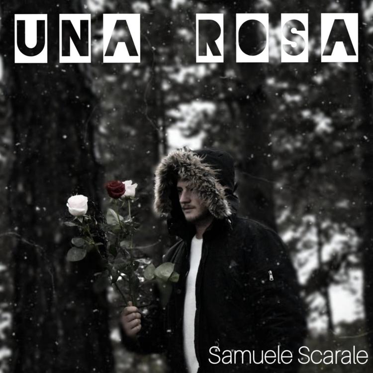 Samuele Scarale's avatar image