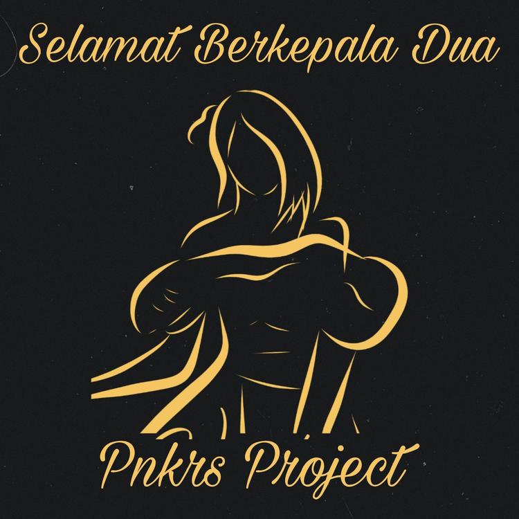 PNKRS Project's avatar image